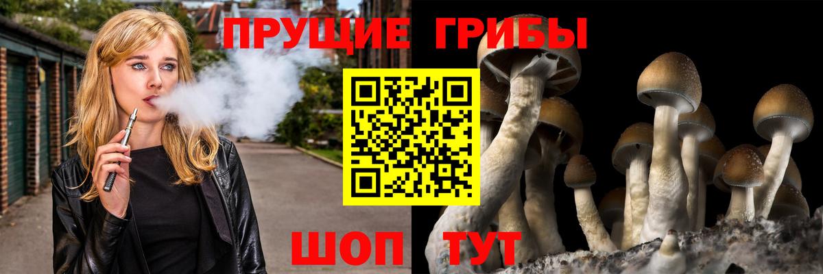 Псилоцибиновые грибы Psilocybine cubensis  Вход с VPN  закладка  Подольск 
